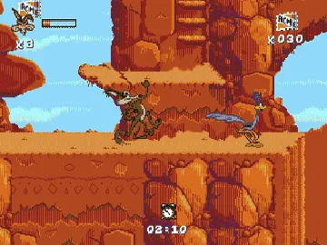 Desert Demolition Starring Road Runner and Wile E screen shot game playing